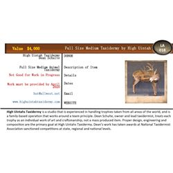 Full Size Medium Trophy Mount
