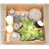 Image 1 : FLAT WITH STONE FRUIT AND SHOWHOME DECORATIONS