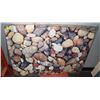 Image 1 : BRAND NEW FLOORTEX ULTIMATE PHOTO MAT