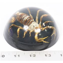 SCORPION PAPER WEIGHT