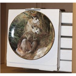 LOT OF 6 COLLECTOR PLATES