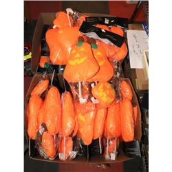 2 BOXES OF HALLOWEEN CAR COSTUMES