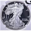 Image 2 : 2003-W AMERICAN SILVER EAGLE, NGC PF69 ULTRA CAMEO