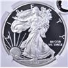 Image 2 : 2013-W AMERICAN SILVER EAGLE, NGC PF69 ULTRA CAMEO