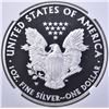 Image 3 : 2013-W AMERICAN SILVER EAGLE, NGC PF69 ULTRA CAMEO