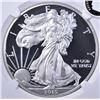 Image 2 : 2015-W AMERICAN SILVER EAGLE, NGC P-69 ULTRA CAMEO