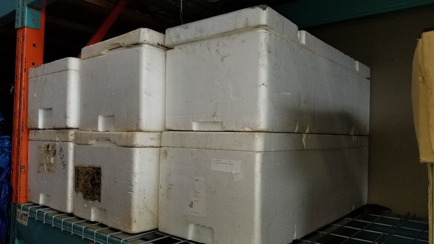 Styrofore For Fish SIX LARGE STYROFOAM FISH COOLERS