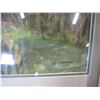 Image 2 : FRAMED WATER COLOR OF GARDEN AND DENNIS MILLER SIGNED PHOTO