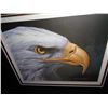 Image 2 : BALD EAGLE BY RANDY FEHR LEP 24897