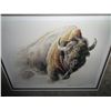 Image 2 : BISON STUDY BY ROBERT BATEMAN LEP 24373