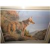 Image 2 : EVENING CALM COYOTE BY JORGE J MAYOL LEP 23667