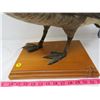 Image 4 : STUFFED & MOUNTED GOOSE