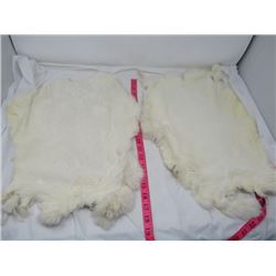 LOT OF 2 RABBIT PELTS (WHITE)