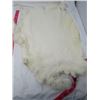 Image 3 : LOT OF 2 RABBIT PELTS (WHITE)