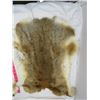 Image 2 : LOT OF 2 RABBIT PELTS (BROWN)
