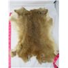 Image 5 : LOT OF 2 RABBIT PELTS (BROWN)