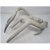 Image 2 : LOT OF 2 DEER ANTLER SHEDS