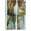 Image 8 : LOT OF 16 ASSORTED POSTCARDS (WORLD SCENERY AND BUILDINGS) *KING ALBERT, CANADA PARLIAMENT, NATIONAL