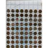 Image 5 : LOT OF ASSORTED PENNIES ( USA) *1890 TO 1960*