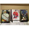 Image 1 : LOT OF HOCKEY CARDS (UD ARTIFACTS, BLACK DIAMOND, GOLD RESERVE)