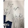 Image 5 : TORONTO MAPLE LEAFS TEAM SIGNED HOCKEY JERSEY (1995-96 SEASON)