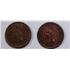 Image 1 : 1880 AND 1895 INDIAN CENTS