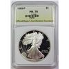 Image 1 : 1993-P AMERICAN SILVER EAGLE