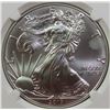 Image 2 : 2017 AMERICAN SILVER EAGLE