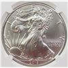 Image 2 : 2019 AMERICAN SILVER EAGLE