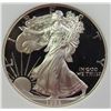 Image 2 : 1993-P AMERICAN SILVER EAGLE