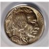 Image 2 : 1934 BUFFALO NICKEL