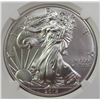 Image 2 : 2015 AMERICAN SILVER EAGLE