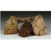 Image 1 : LOT OF NICE WIGS