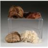 Image 1 : LOT OF NEWER WIGS