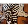 Image 3 : AFRICAN ZEBRA HIDE/RUG EXCEPTIONAL SIZE & GRADE