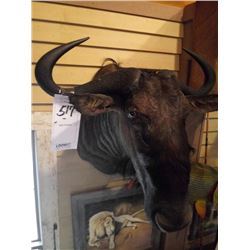 BLUE WILDEBEEST/SHOULDER MOUNT