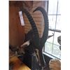Image 3 : OUTSTANDING AFRICAN SABLE/ON A STAND /FLOOR MODEL