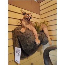 CARACAL/FULL BODY MOUNT