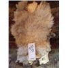 Image 1 : WHITE CATALINA GOAT HIDE
