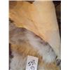 Image 2 : WHITE CATALINA GOAT HIDE