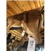 Image 1 : IMPALA HIDE