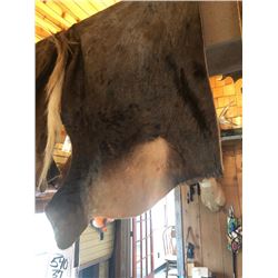 BLUE WILDEBEEST HIDE