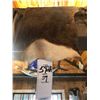 Image 1 : IMPALA HIDE