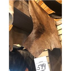 RED HARTEBEEST HIDE