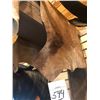 Image 1 : RED HARTEBEEST HIDE