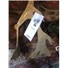 Image 2 : SMALL CARIBOU ANTLERS