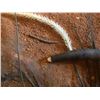 Image 2 : GREATER KUDU HORNS/ BROKEN