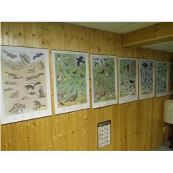 VINTAGE PA GAME COMMISSION WILDLIFE PRINTS /SET OF 7