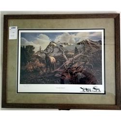 FRAMED ART "WEATHERED PATRIARCH" BY MORGAN PEETS