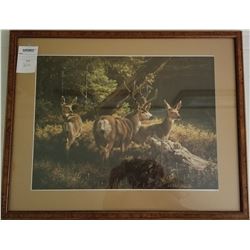 FRAMED ART "GOLDEN TROUT LAKE" BY BARB PEETS #65/500